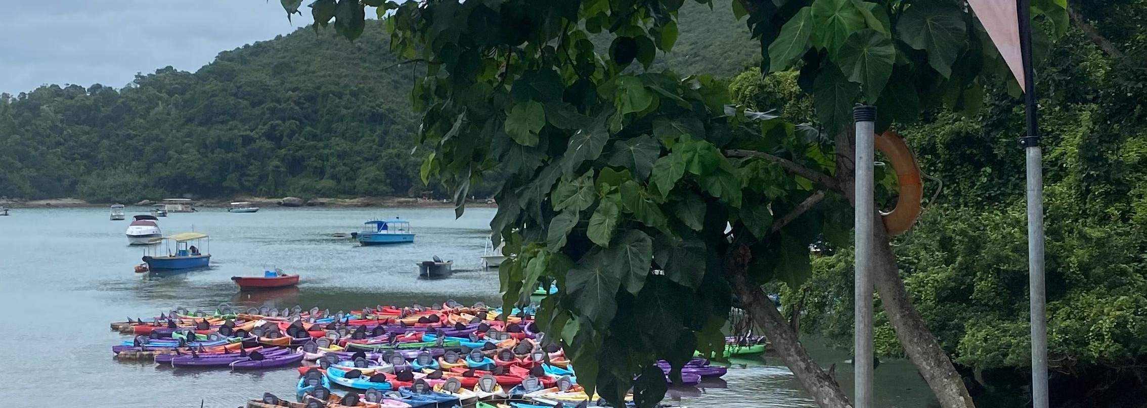 中心场地及器材